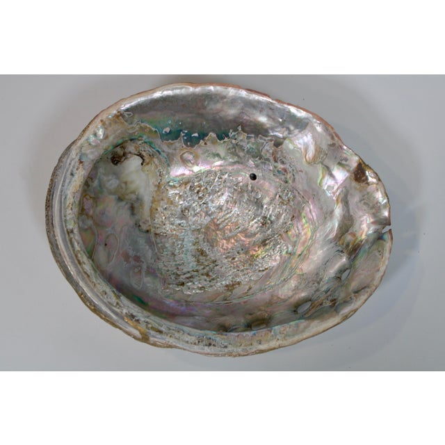 Coastal Large Vintage Golden Gilt Abalone Shell For Sale - Image 3 of 10