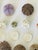 1970s Natures Beauty Sea Shell Collection For Sale In Miami - Image 6 of 6