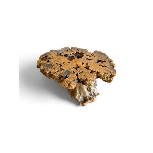 Mid-Century Modern Signed 1970s California Studio Craft Live-Edge Buckeye Burl Root Mushroom Coffee Table "Flight Into Freedom" For Sale - Image 3 of 7
