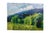 1963 Miss Lititia Thompson Blue Ridge Mountains Oil Painting 48" For Sale