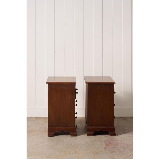 English Pair of Georgian Style Burl Bedside Chests For Sale - Image 3 of 13