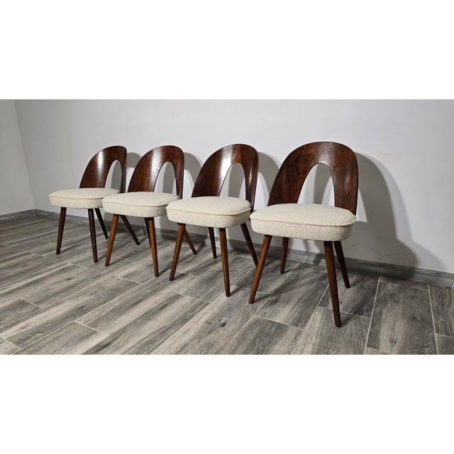 Dining Chairs by Antonin Suman, 1960s, Set of 4 For Sale - Image 13 of 13