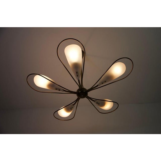Mid-Century Italian Brass 5-Arm Sputnik Chandelier, 1950s For Sale - Image 18 of 18