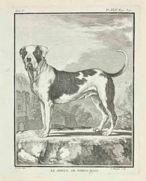 Jean Charles Baquoy, Le de Forte Race, Etching, 1771