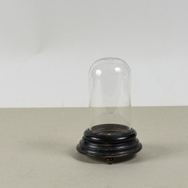 19th Century Ebony-Colored Bell-Shaped Relic Case For Sale - Image 6 of 9