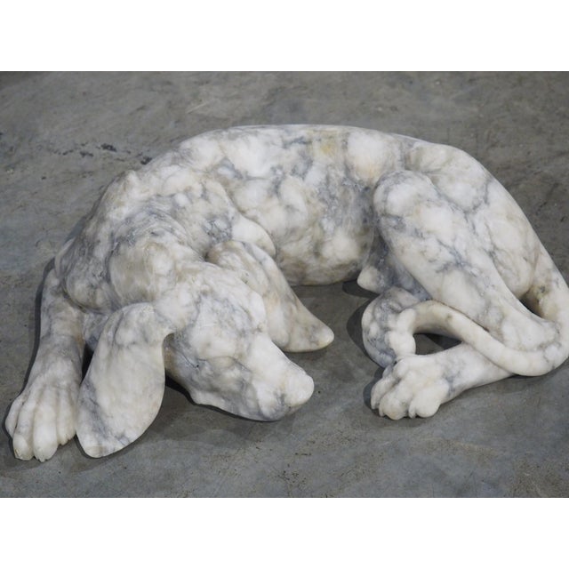 Italian Volterra Alabaster Sleeping Hound Sculpture – Bardiglio Grey, 20th C. For Sale In Dallas - Image 6 of 14
