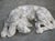 Italian Volterra Alabaster Sleeping Hound Sculpture – Bardiglio Grey, 20th C. For Sale In Dallas - Image 6 of 14