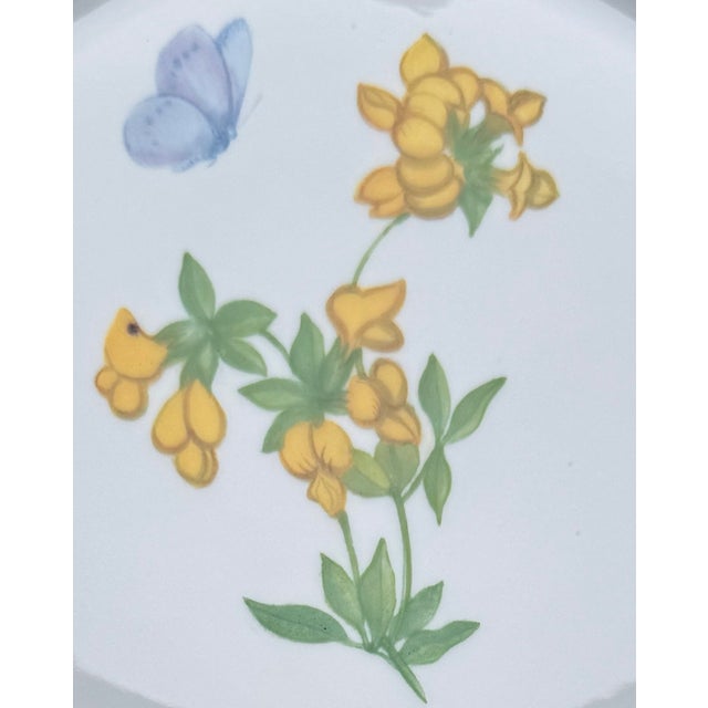 Traditional Vintage Nymphenburg Porcelain Botanical Plates – Set of Four For Sale - Image 3 of 11