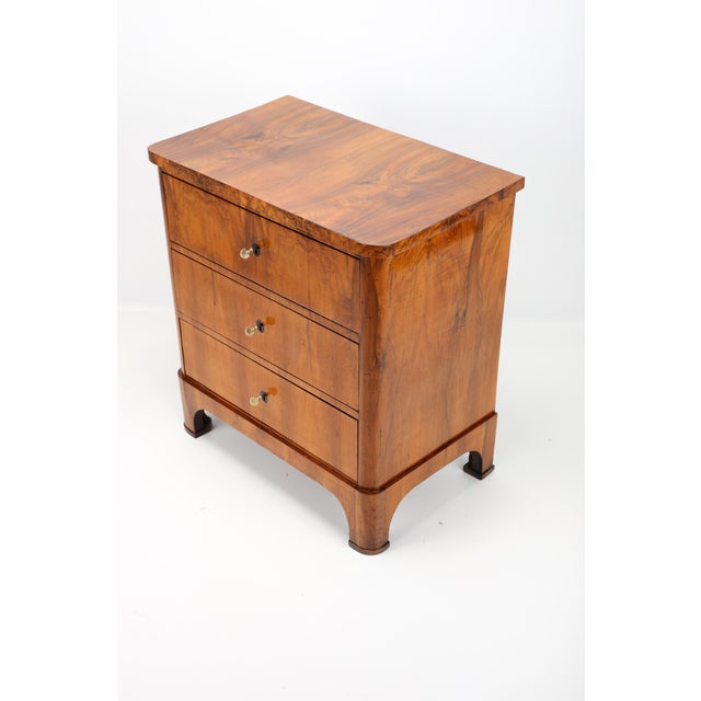 Brown South German Biedermeier Chest of Drawers in Walnut, 1820s For Sale - Image 8 of 13