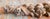 Brown 17th or 18th C. Carved Wood Decorative Swag in Baroque Style, Continental European For Sale - Image 8 of 18