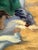 Antique oil on canvas circa 1920. The stretcher measures 24” x 20“ and 27“ x 23“ in frame. Canvas is on its original...