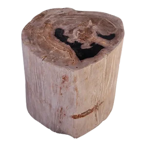 Petrified Wood Stool Accent Table 211