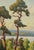 Wilhelm Wilcke, View of Schwanenwerder (Berlin), 1950s, Oil Painting on Canvas, Framed For Sale - Image 7 of 10