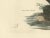 Selby, Aquatic Songbirds Named Dippers, 1826, Hand-Colored Print For Sale - Image 3 of 7