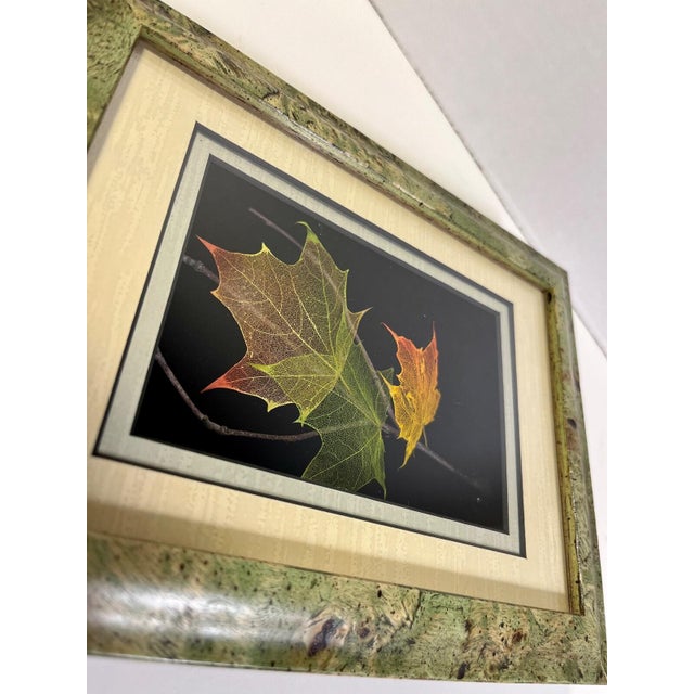 Vintage Booker Morey Norway Maple Leaves Signed Shadow Box Frame # 7-5692 Aprox. dimensions: 8.5" x 6.5" Very good...