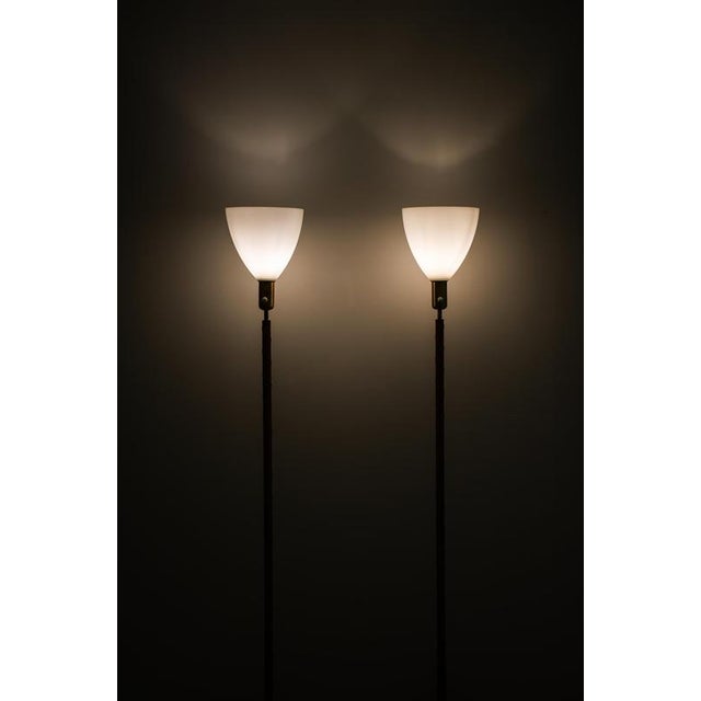 1950s Floor Lamps in Brass, Glass, and Leather from Asea, 1950s, Set of 2 For Sale - Image 5 of 9