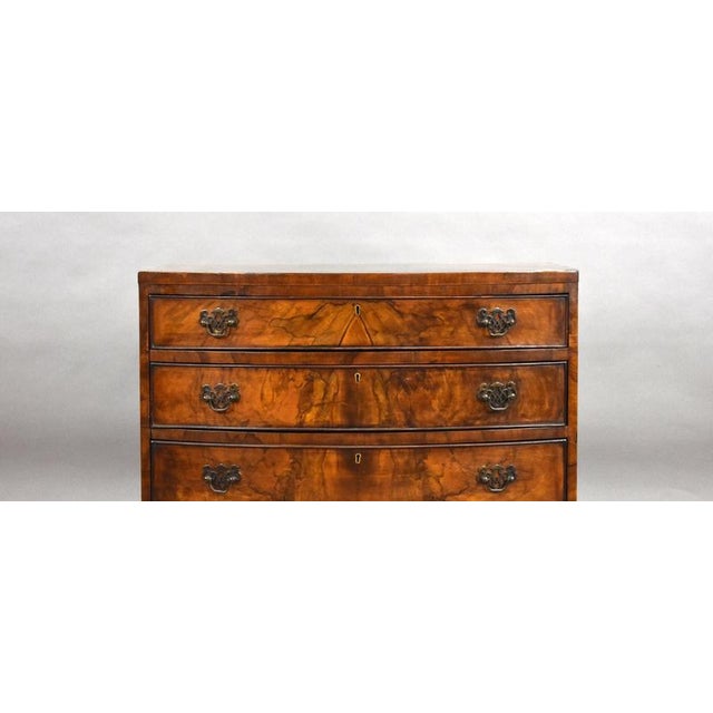 Early 20th Century Figured Walnut Bow Front Chest of Drawers, 1930 For Sale - Image 3 of 8