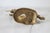 Vintage Brass Unicorn Figure For Sale - Image 9 of 10