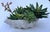 Ceramic Trompe-L’oeil White Conch Shell Porcelain Bowl/Planter For Sale - Image 7 of 9