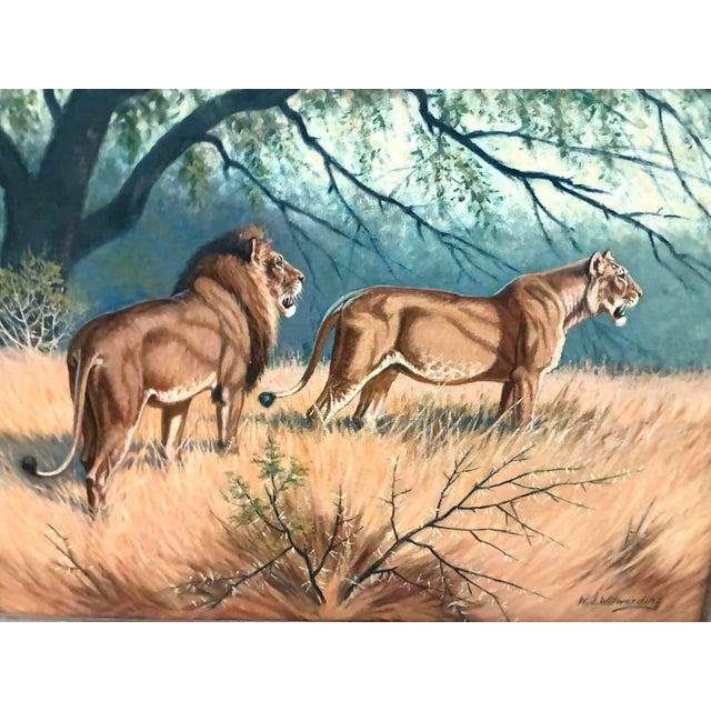 Oil painting by notable American wildlife artist and illustrator Walter J. Wilwerding. This signed painting features a...