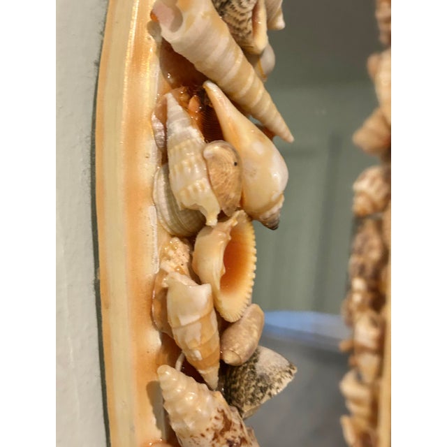Plastic Vintage Seashell Encrusted Scalloped Wall Mirror Palm Beach Coastal Style For Sale - Image 7 of 9
