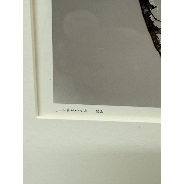 Contemporary Circa 1992 Stefano Massei's "Jamaica" Leaf, Print For Sale - Image 3 of 12