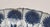 Ceramic Antique Chinese Export Blue & White Porcelain Chargers For Sale - Image 7 of 8
