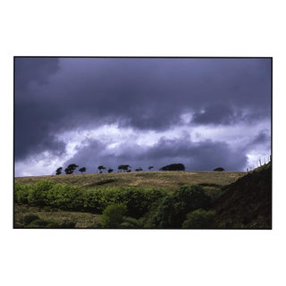 Paul Cooklin, Treeline, Edition of 50 For Sale