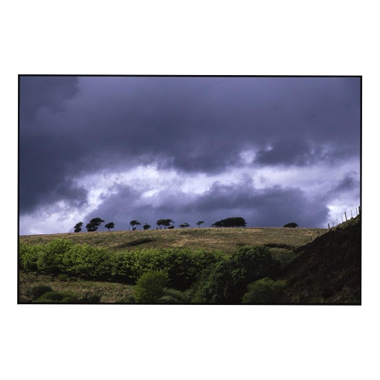 Paul Cooklin, Treeline, Edition of 50 For Sale
