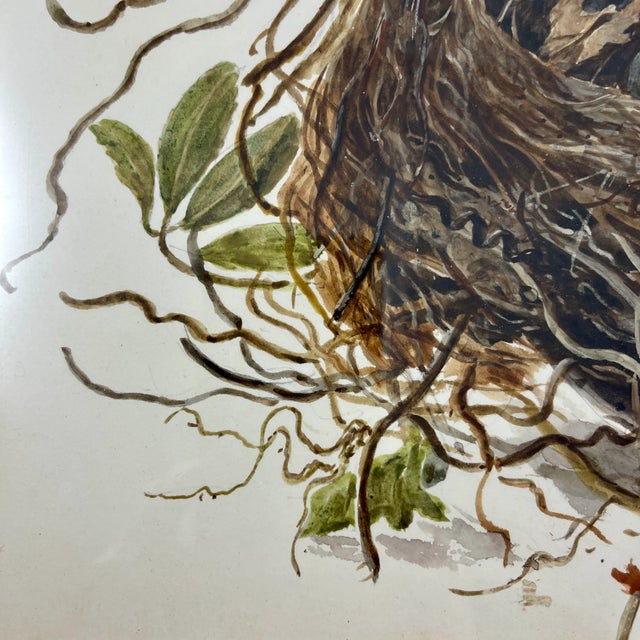 Mid 19th Century English Regency Period Original Watercolor Maple Frame Blackbird Nest and Eggs For Sale - Image 5 of 11