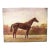 Chestnut Horse O/C by Paul Brown For Sale