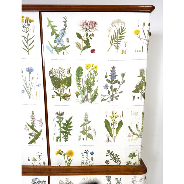 Josef Frank 1950's Swedish Cabinet With Nordens Flora Illustrations For Sale - Image 4 of 10