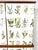 Josef Frank 1950's Swedish Cabinet With Nordens Flora Illustrations For Sale - Image 4 of 10