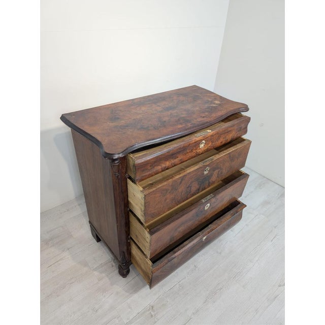 Brown Biedermajer Chest of Drawers, 19th Century For Sale - Image 8 of 14