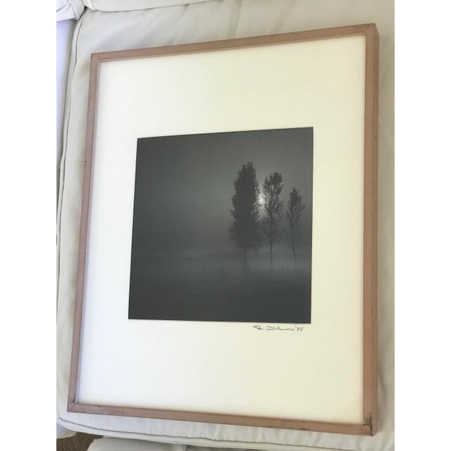 Vintage Richard D’Amore Black and White Landscape Signed Photograph For Sale - Image 13 of 13