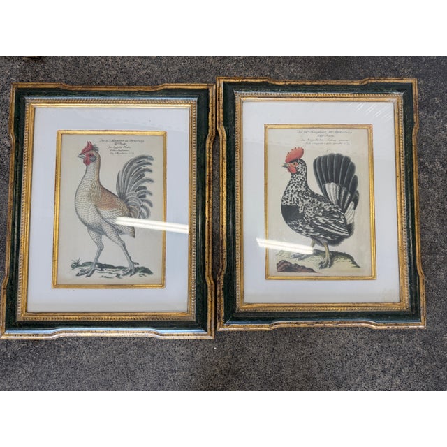 Antique Colored Rooster Prints in Trowbridge Frames - Set of 4 For Sale - Image 4 of 12
