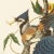 1990s Blue Jay After Audubon, Large American Classical Print For Sale In Dallas - Image 6 of 12