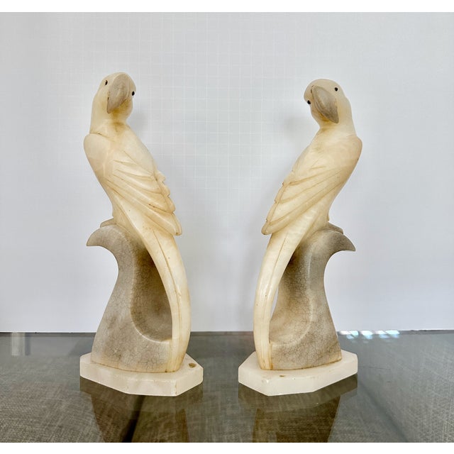 Pair Italian Alabaster Parrot Bird Sculptures - Mid Century For Sale - Image 9 of 18