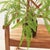 Early 21st Century Forest Fern Drop-In 29.5" For Sale - Image 5 of 5