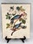 1964 Audubon Folio Lithograph Great Bird Paintings – “Band Tailed Pigeon” 17x14 For Sale - Image 10 of 10