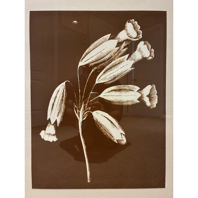 An elegant framed botanical art print by Natural Curiosities, featuring a striking ivory floral illustration against a...
