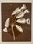 An elegant framed botanical art print by Natural Curiosities, featuring a striking ivory floral illustration against a...