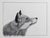 This charcoal and graphite artwork captures the profile of a fox, showcasing its keen gaze directed upward. The intricate...
