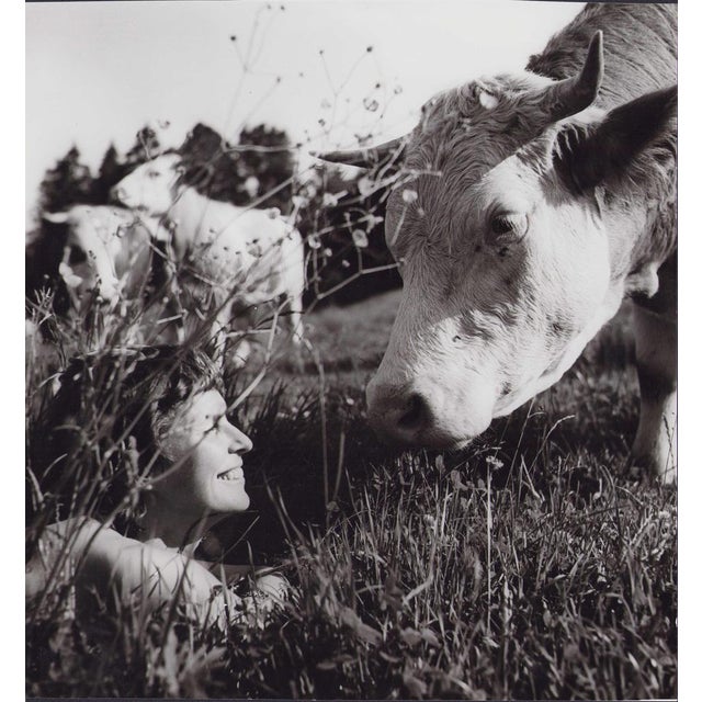 Woman and Cow, 1955, Original Vintage Black & White Photograph For Sale