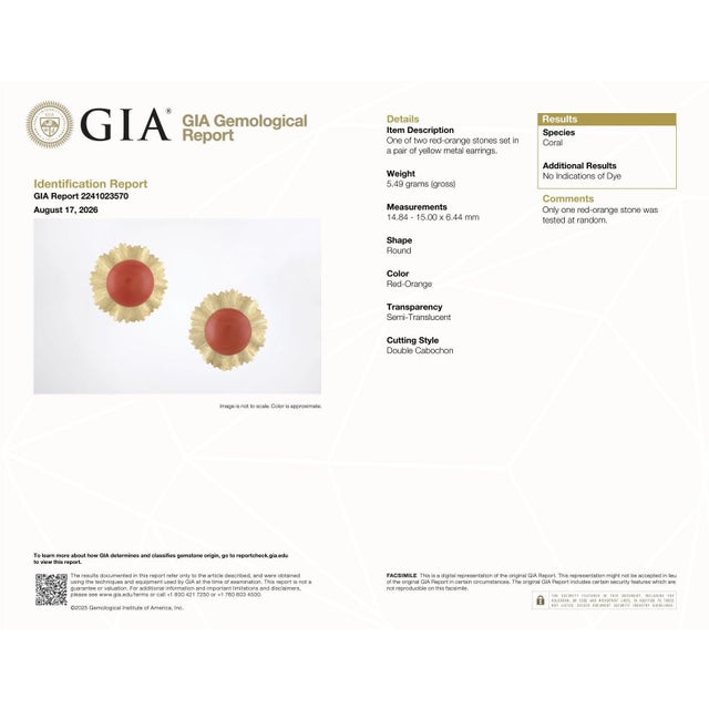 Vintage Gia Certified 14k Yellow Gold Natural Coral Earrings With Omega Back, Pair For Sale - Image 13 of 13