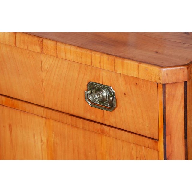 Biedermeier Cabinet in Cherry, Spruce & Ebony, Czech, 1820s For Sale - Image 6 of 18