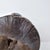 Early 20th Century Bene Lulua Divination Double Figure on Custom Base For Sale - Image 14 of 17