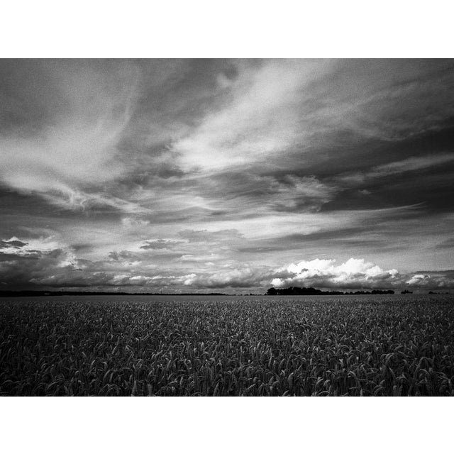 Not Yet Made - Made To Order Paul Cooklin, Wheat Field, Occold II, Edition of 50 For Sale - Image 5 of 5