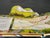 Vintage Children's Pop Up Book For Sale - Image 10 of 14