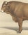 19th Century Borie, Limousin Bull, French Cattle Breed, 1863, Chromolithograph For Sale - Image 5 of 9